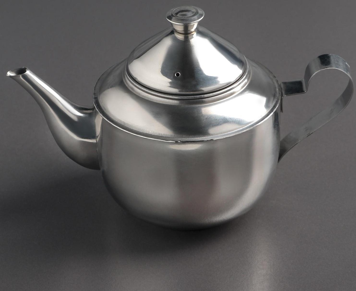 Чайник из нержавеющей стали «Альваро», 500 мл, металлическое сито, фиксированная ручка