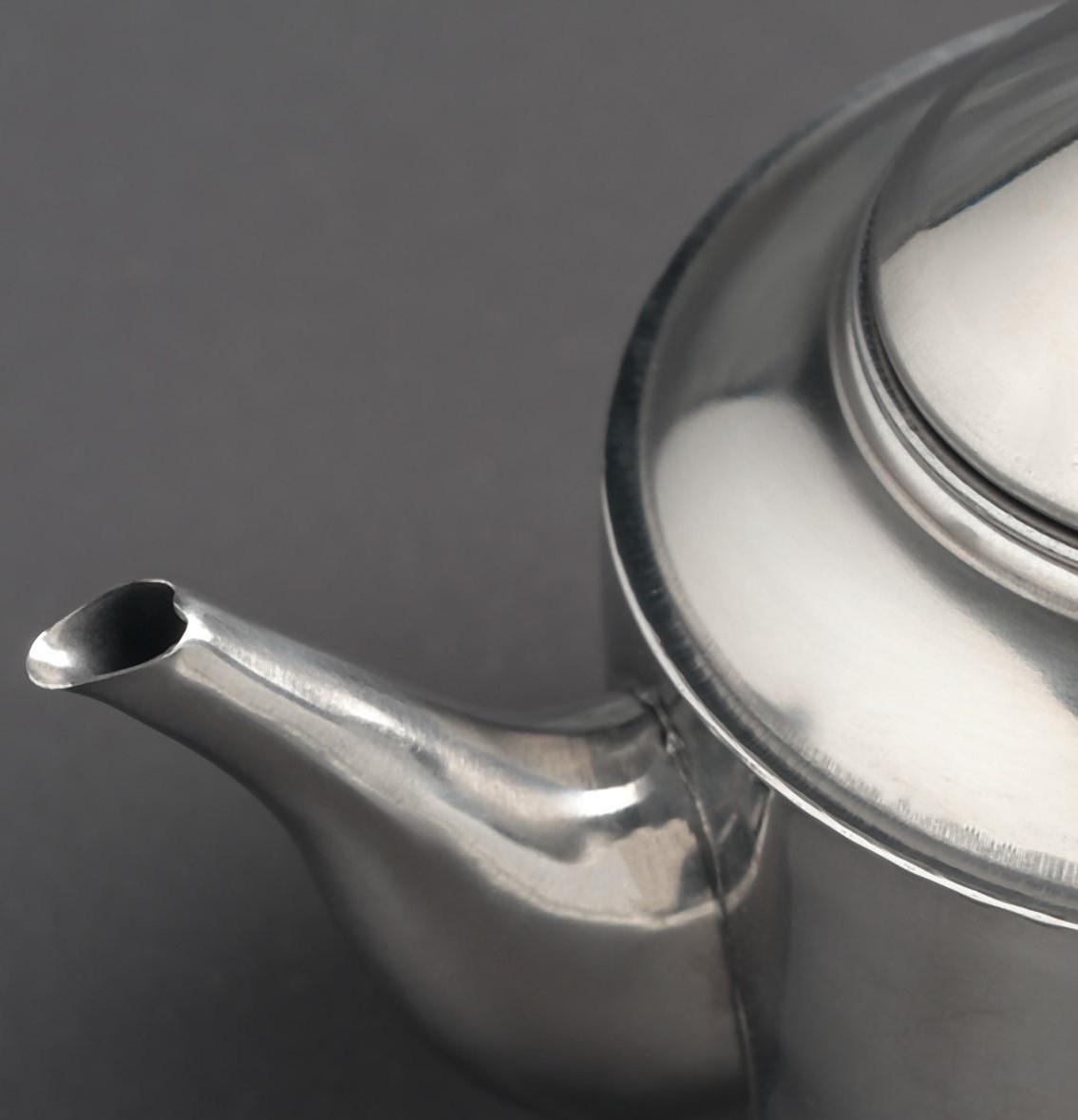 Чайник из нержавеющей стали «Альваро», 500 мл, металлическое сито, фиксированная ручка