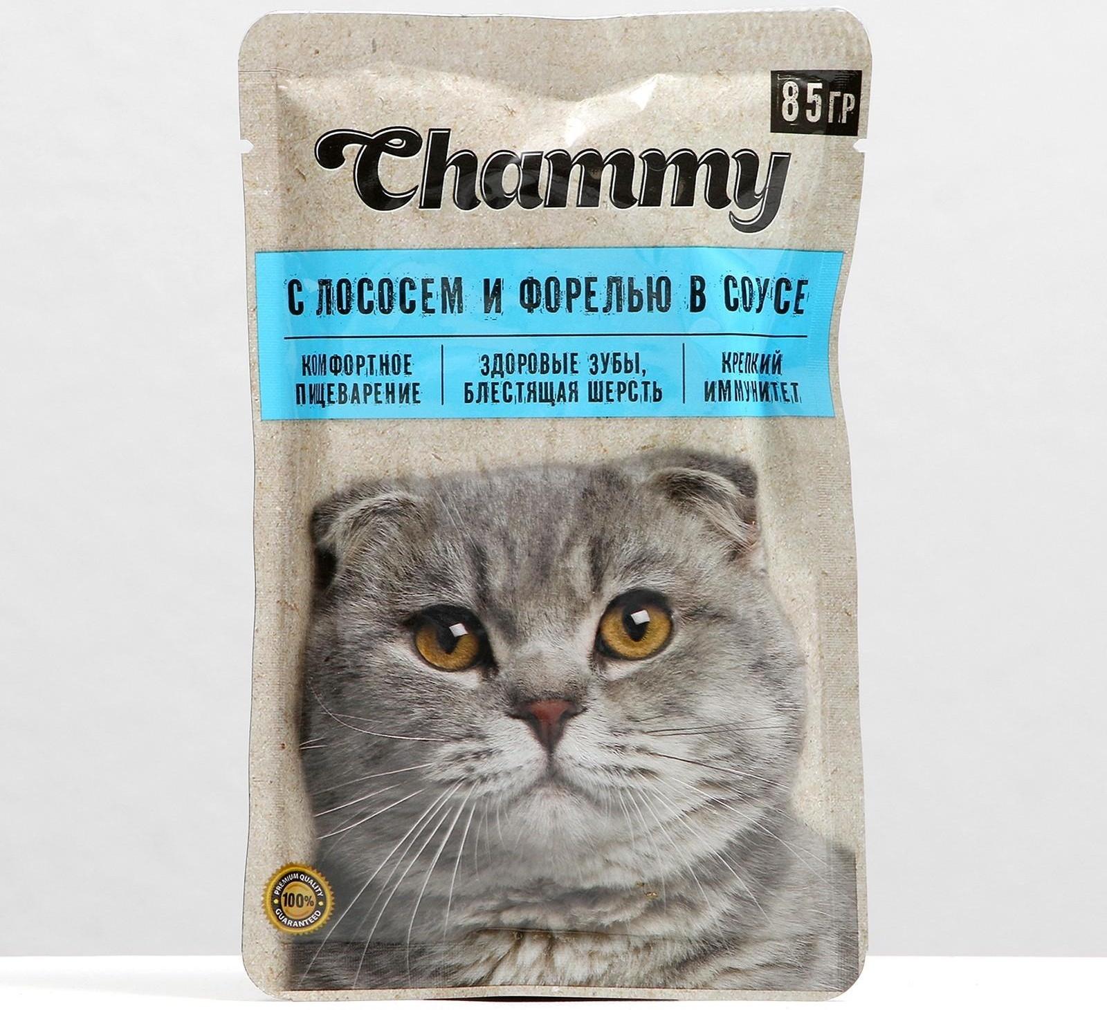 Влажный корм Chammy для кошек, лосось/форель в соусе, пауч, 85 г