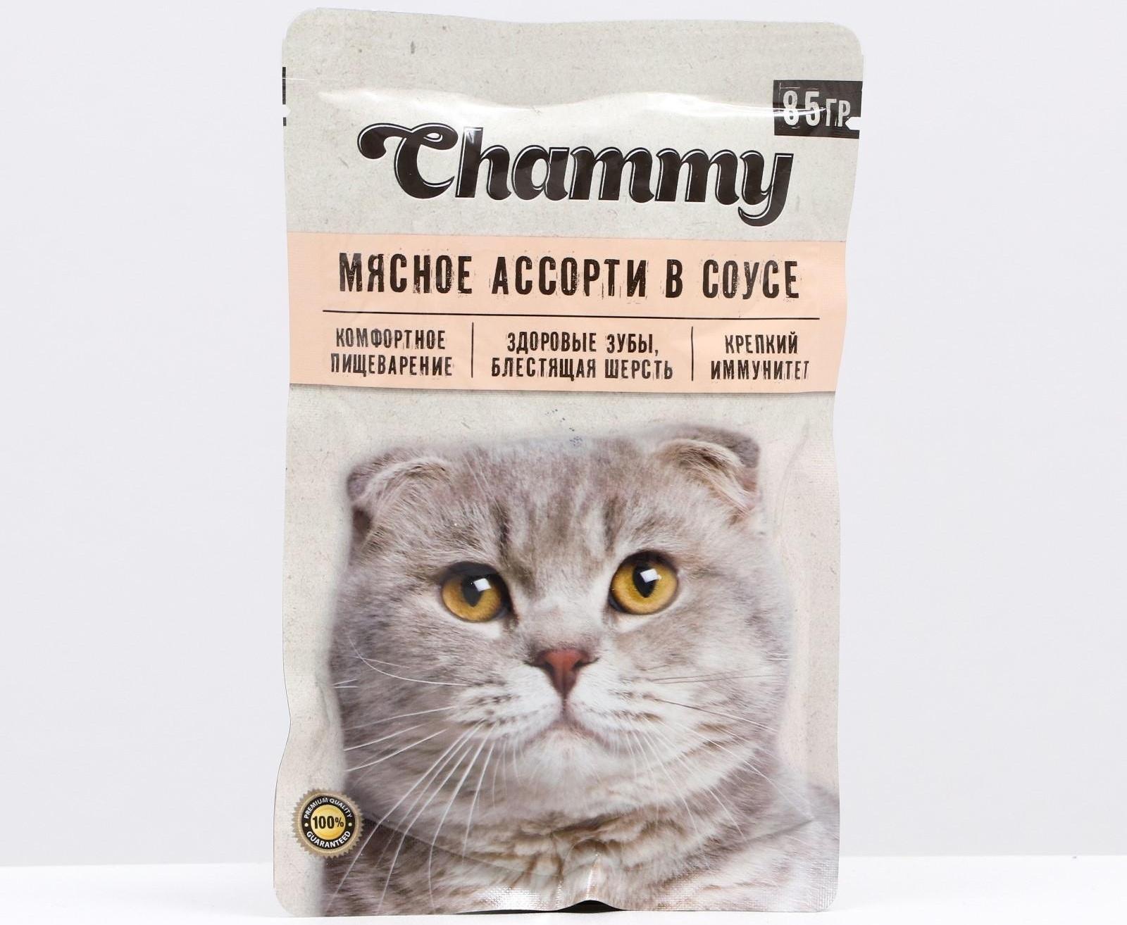 Влажный корм Chammy для кошек, мясное ассорти в соусе, пауч, 85 г