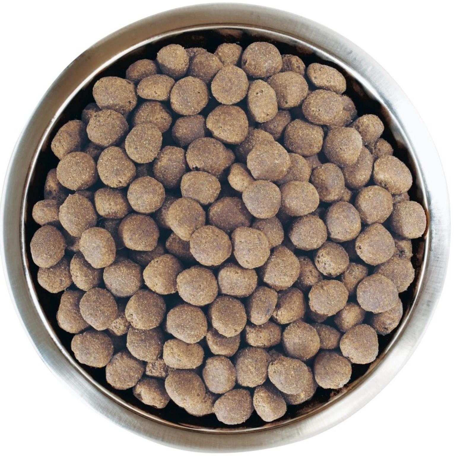 Сухой корм PRO PLAN для собак крупных пород, мощное тело, лосось, 14 кг