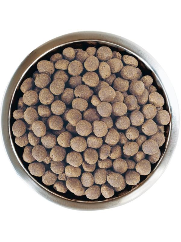 Сухой корм PRO PLAN для собак крупных пород, мощное тело, лосось, 14 кг