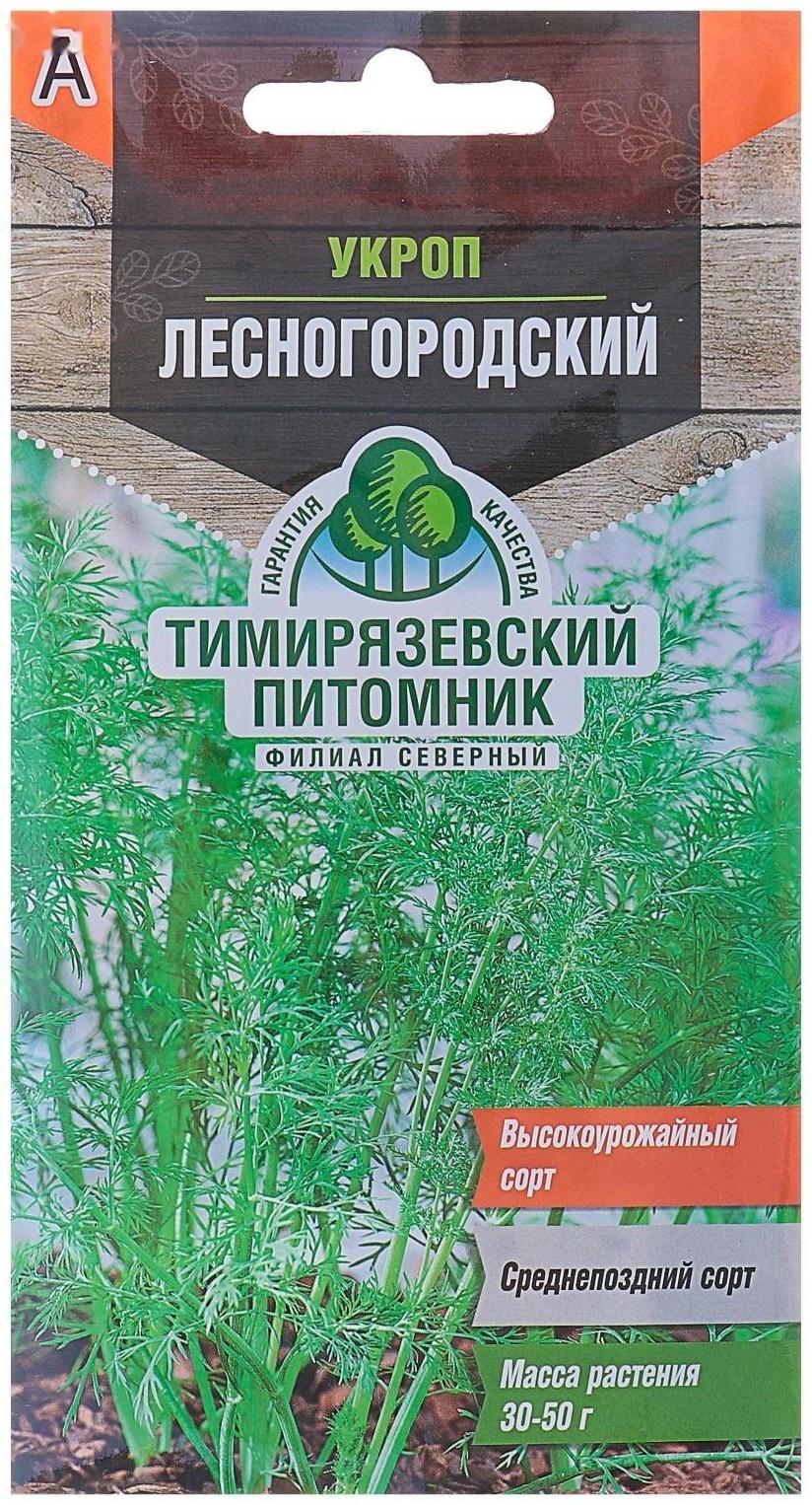 Семена Укроп 