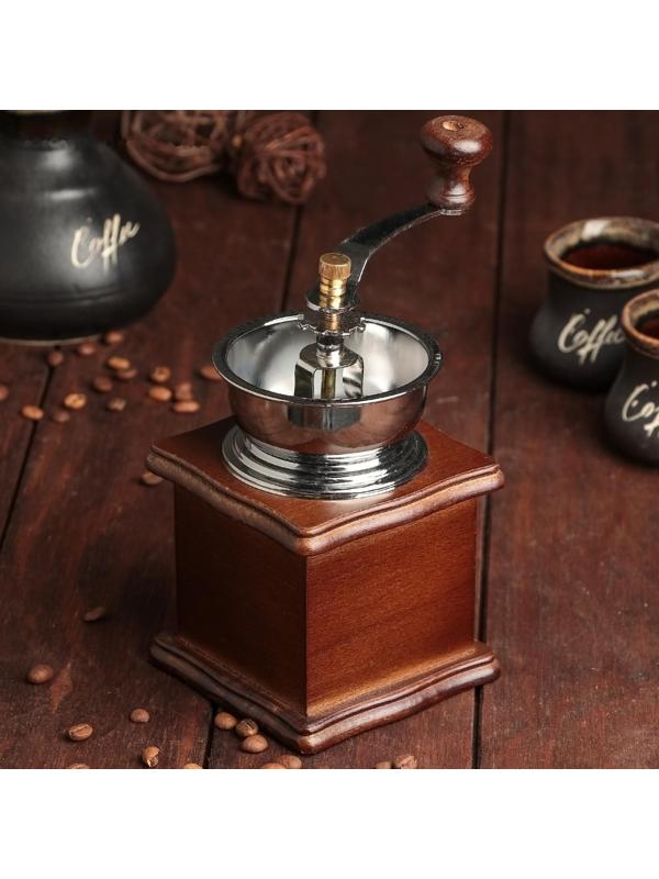 Кофемолка ручная «Тёмное дерево», 9,5×16 см