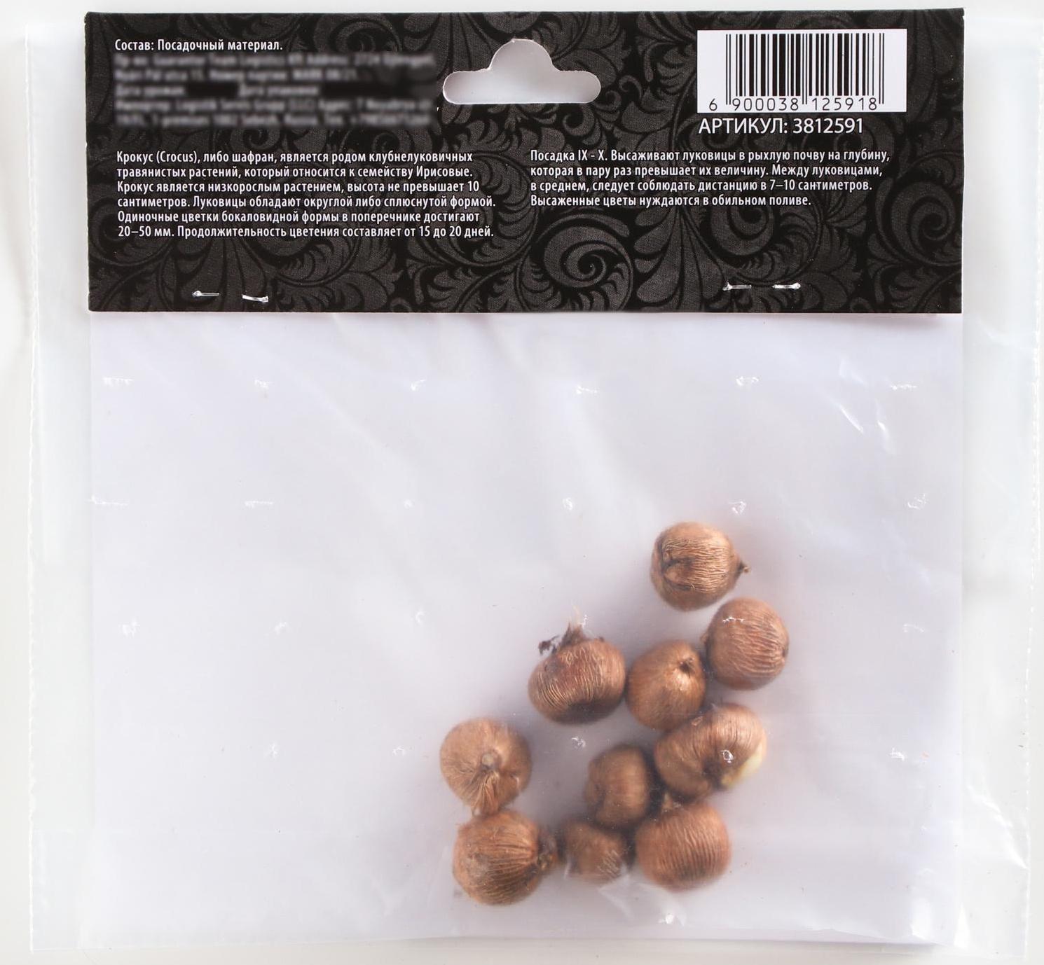 Крокус крупноцветковый Флауэр Рекорд, р-р 7/8, 7 шт, Осень 2023