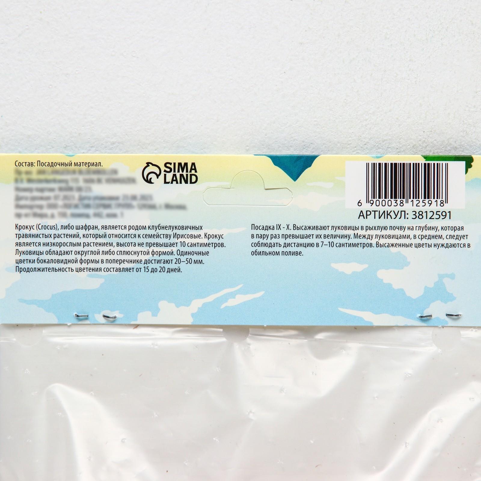 Крокус крупноцветковый Флауэр Рекорд, р-р 7/8, 7 шт, Осень 2023