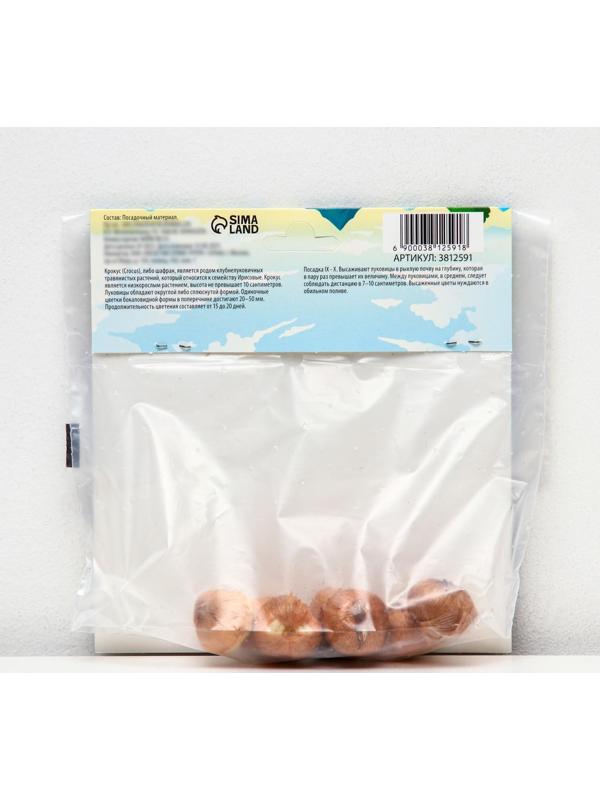 Крокус крупноцветковый Флауэр Рекорд, р-р 7/8, 7 шт, Осень 2023