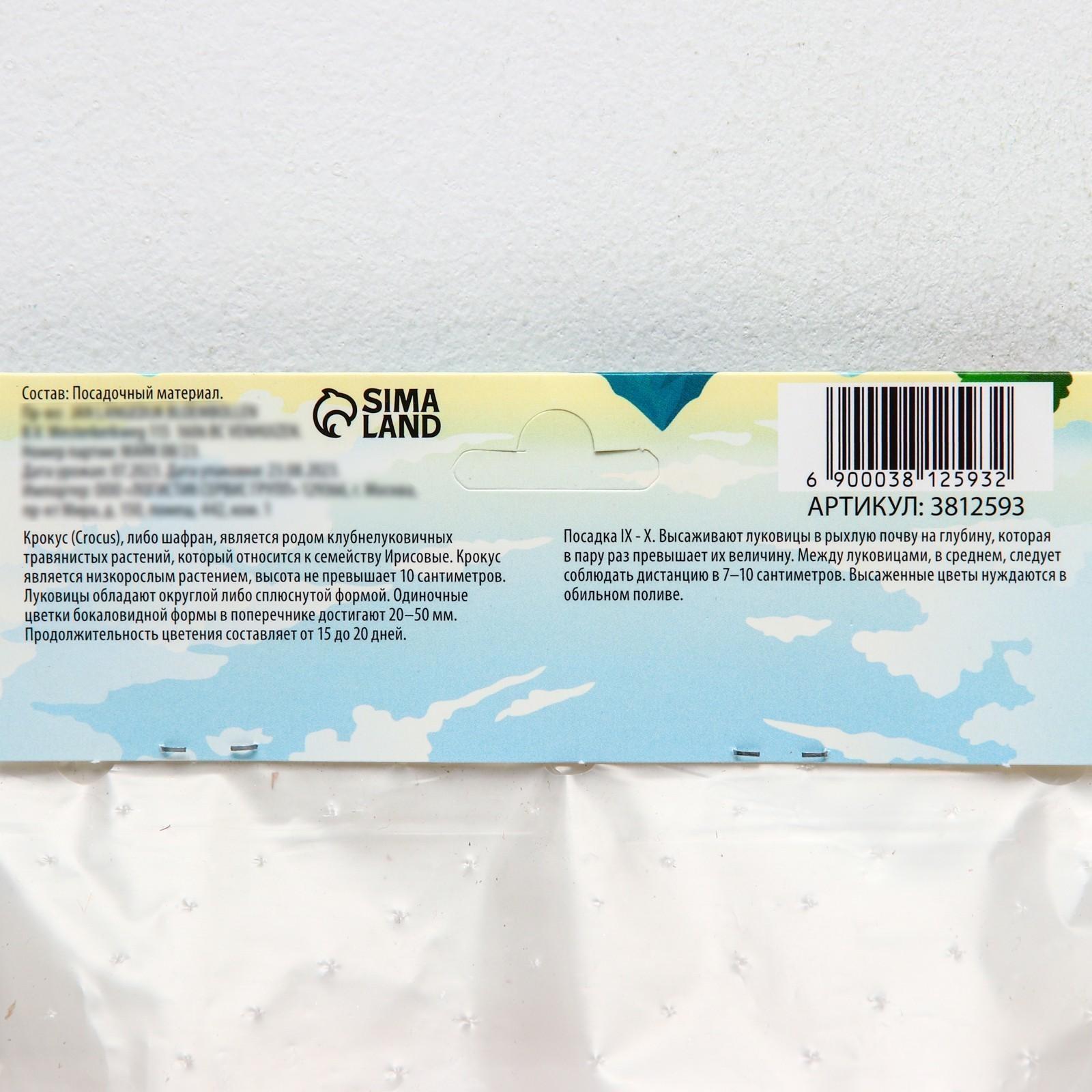 Крокус крупноцветковый Жанна д`Арк, р-р 7/8, 7 шт