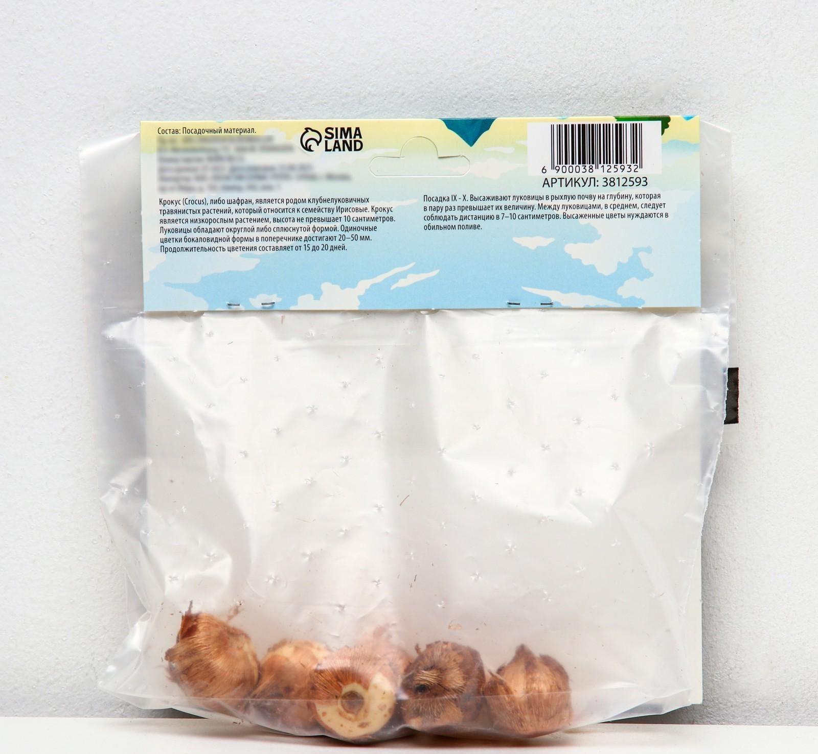 Крокус крупноцветковый Жанна д`Арк, р-р 7/8, 7 шт