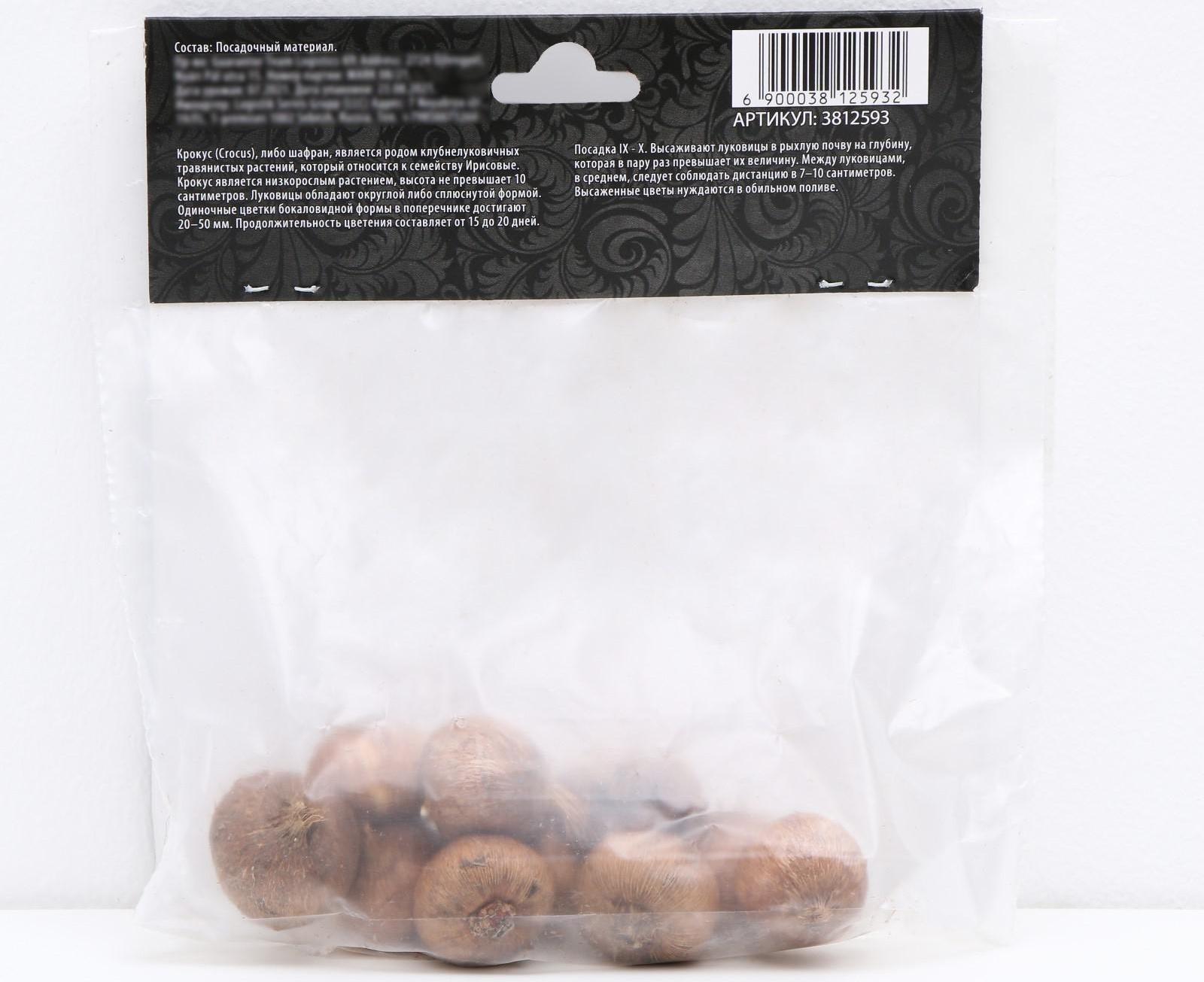 Крокус крупноцветковый Жанна д`Арк, р-р 7/8, 7 шт