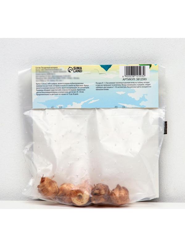 Крокус крупноцветковый Жанна д`Арк, р-р 7/8, 7 шт