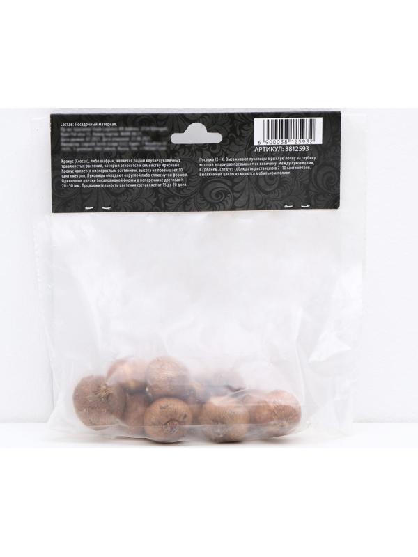 Крокус крупноцветковый Жанна д`Арк, р-р 7/8, 7 шт