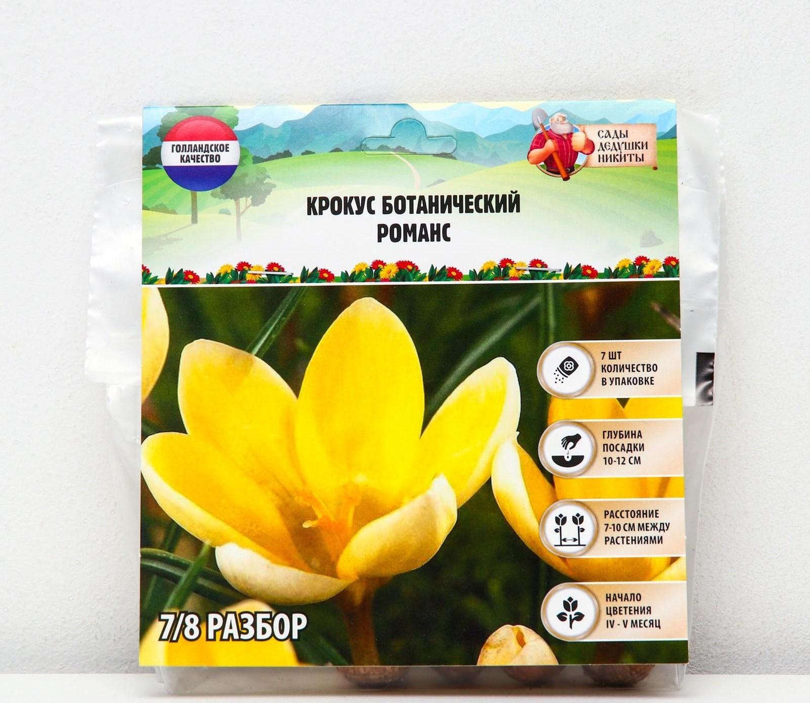 Крокус ботанический Романс, р-р 7/8, 7 шт, Осень 2023