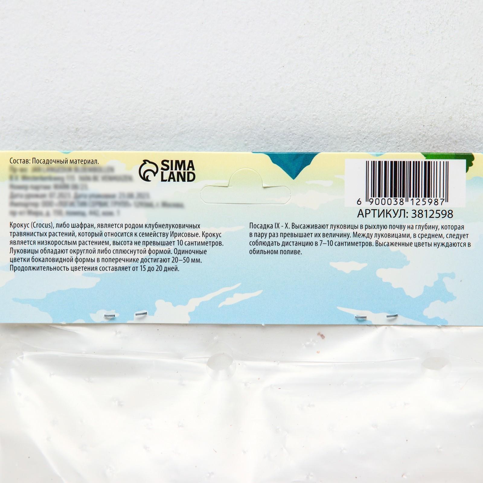 Крокус ботанический Романс, р-р 7/8, 7 шт, Осень 2023