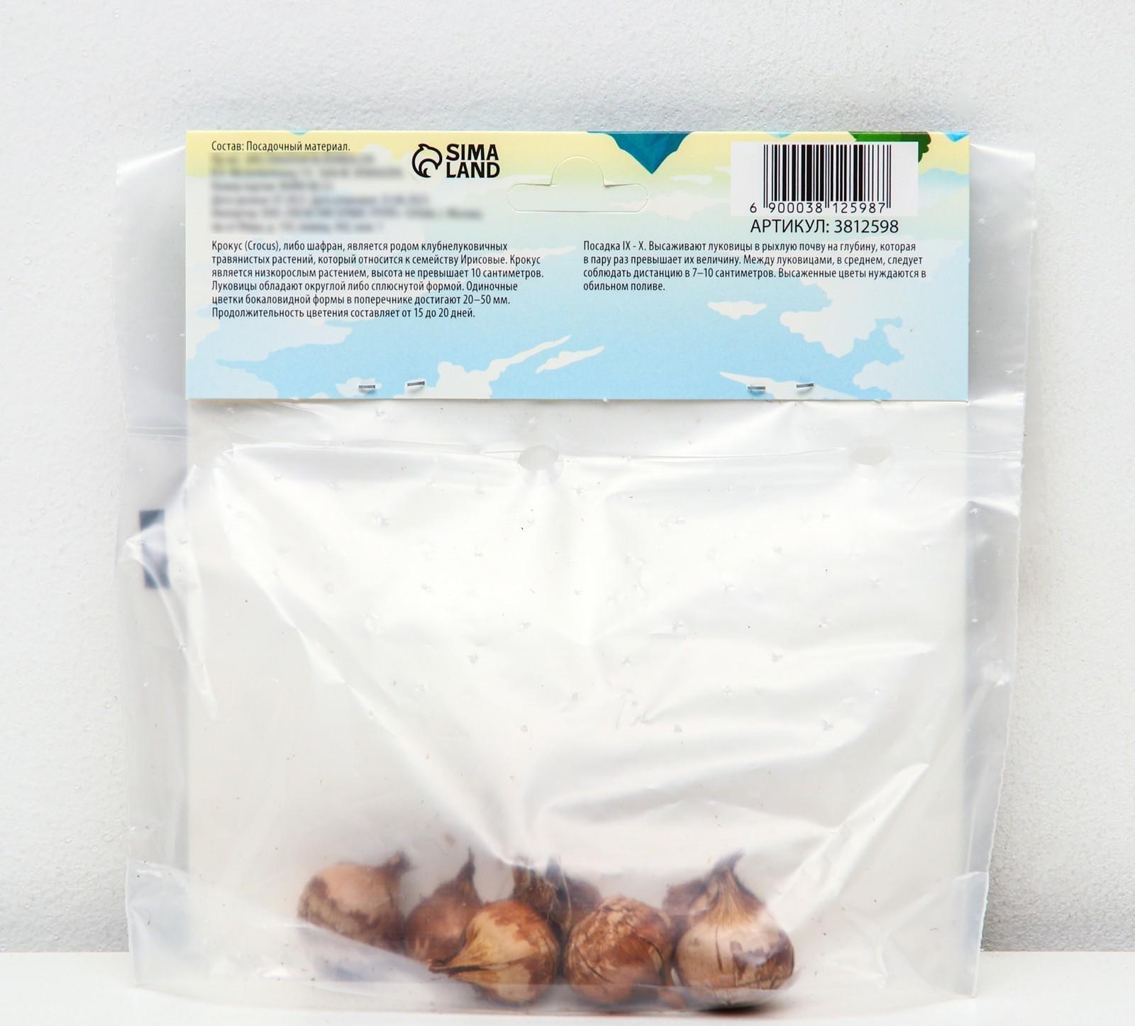 Крокус ботанический Романс, р-р 7/8, 7 шт, Осень 2023