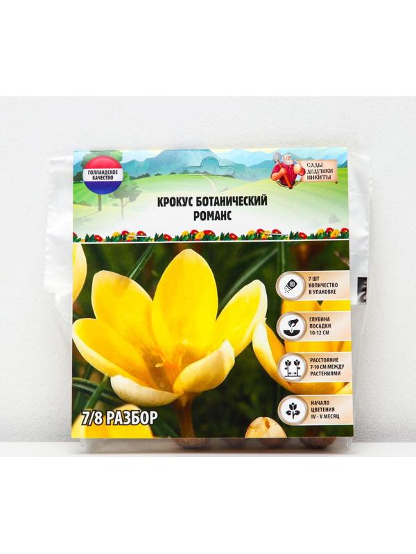 Крокус ботанический Романс, р-р 7/8, 7 шт, Осень 2023
