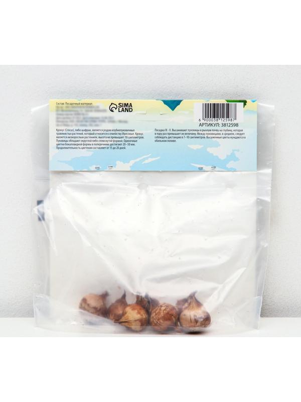 Крокус ботанический Романс, р-р 7/8, 7 шт, Осень 2023