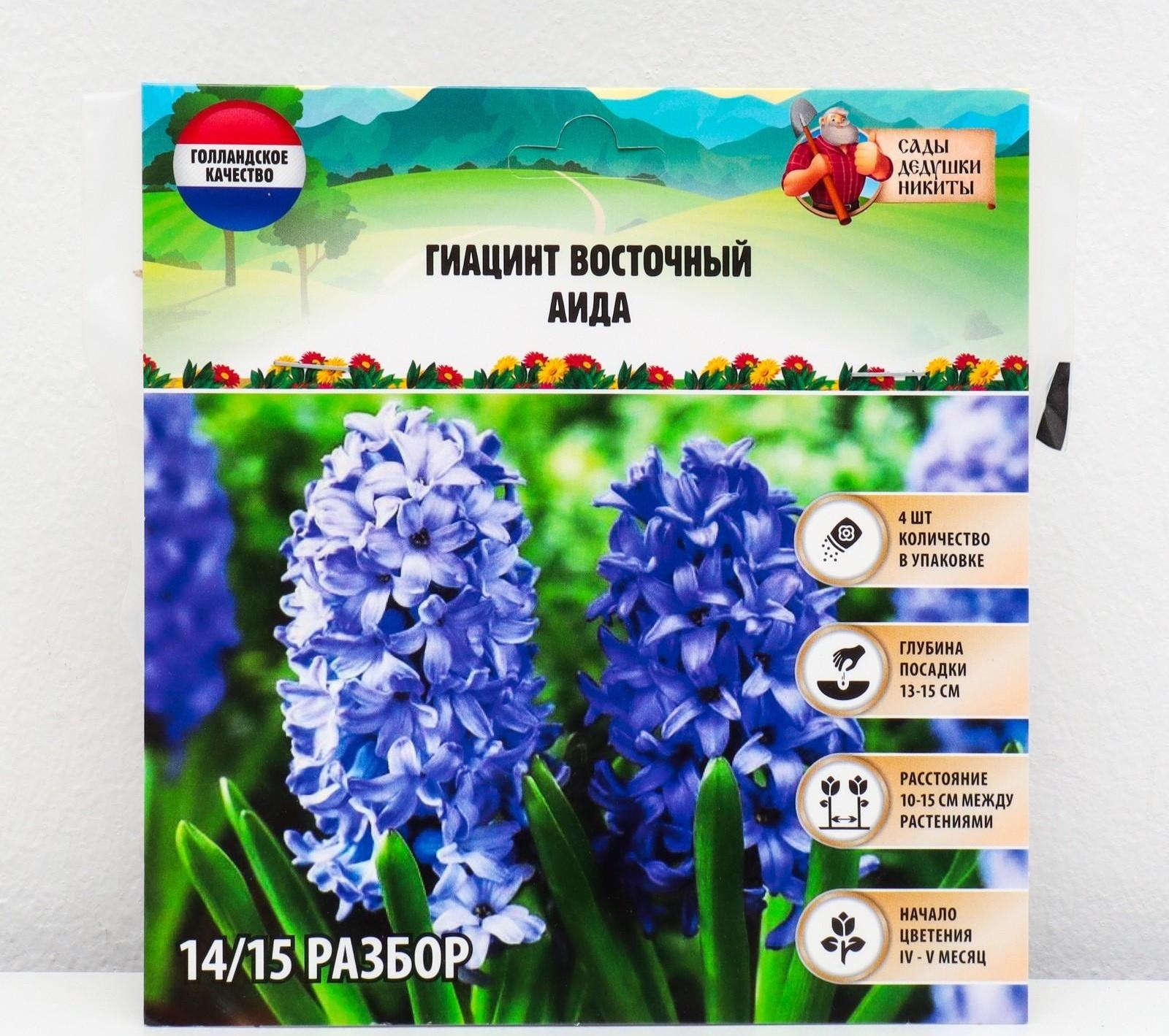 Гиацинт восточный Аида, р-р 14/15, 4 шт, Осень 2023