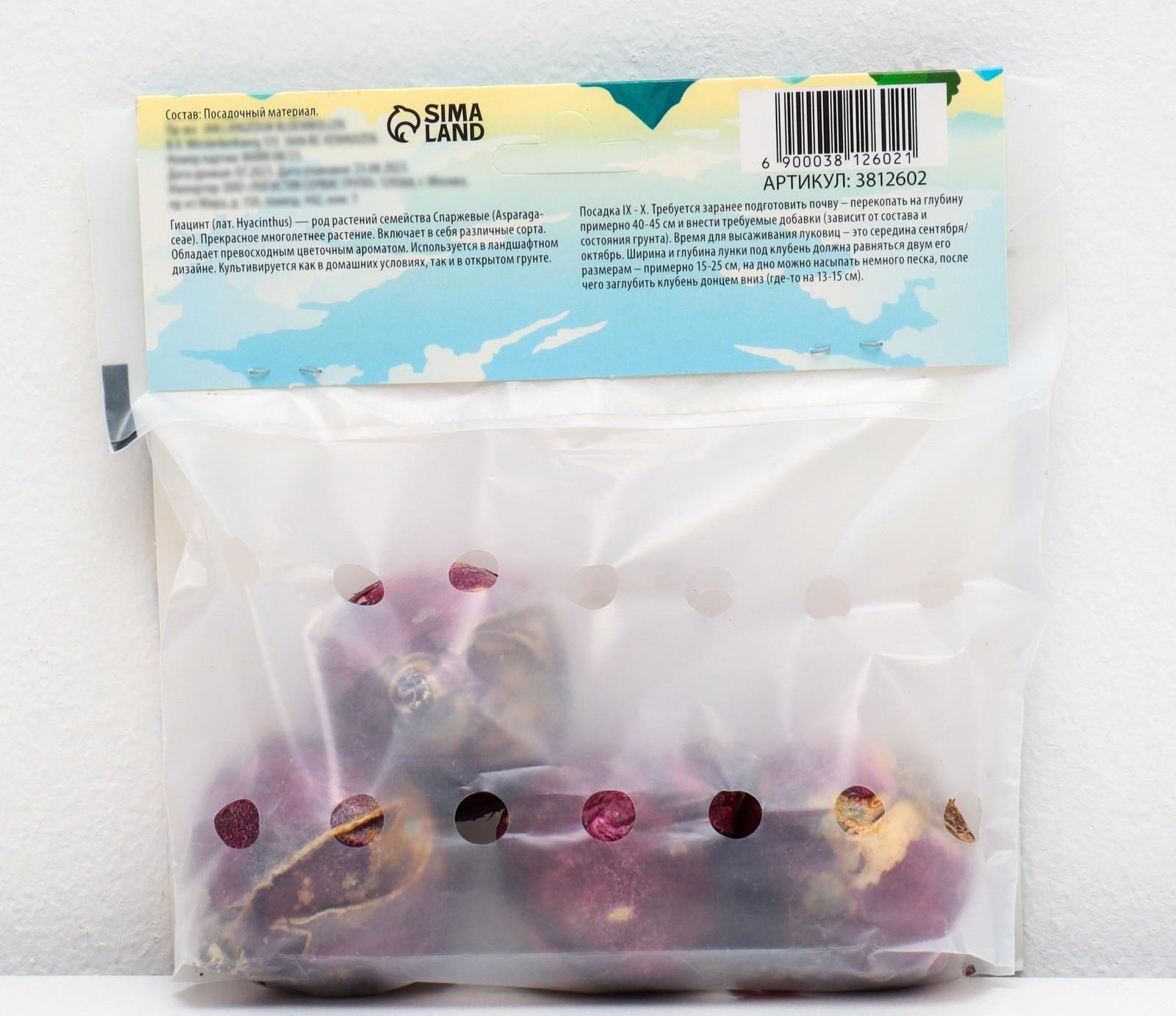 Гиацинт восточный Аида, р-р 14/15, 4 шт, Осень 2023