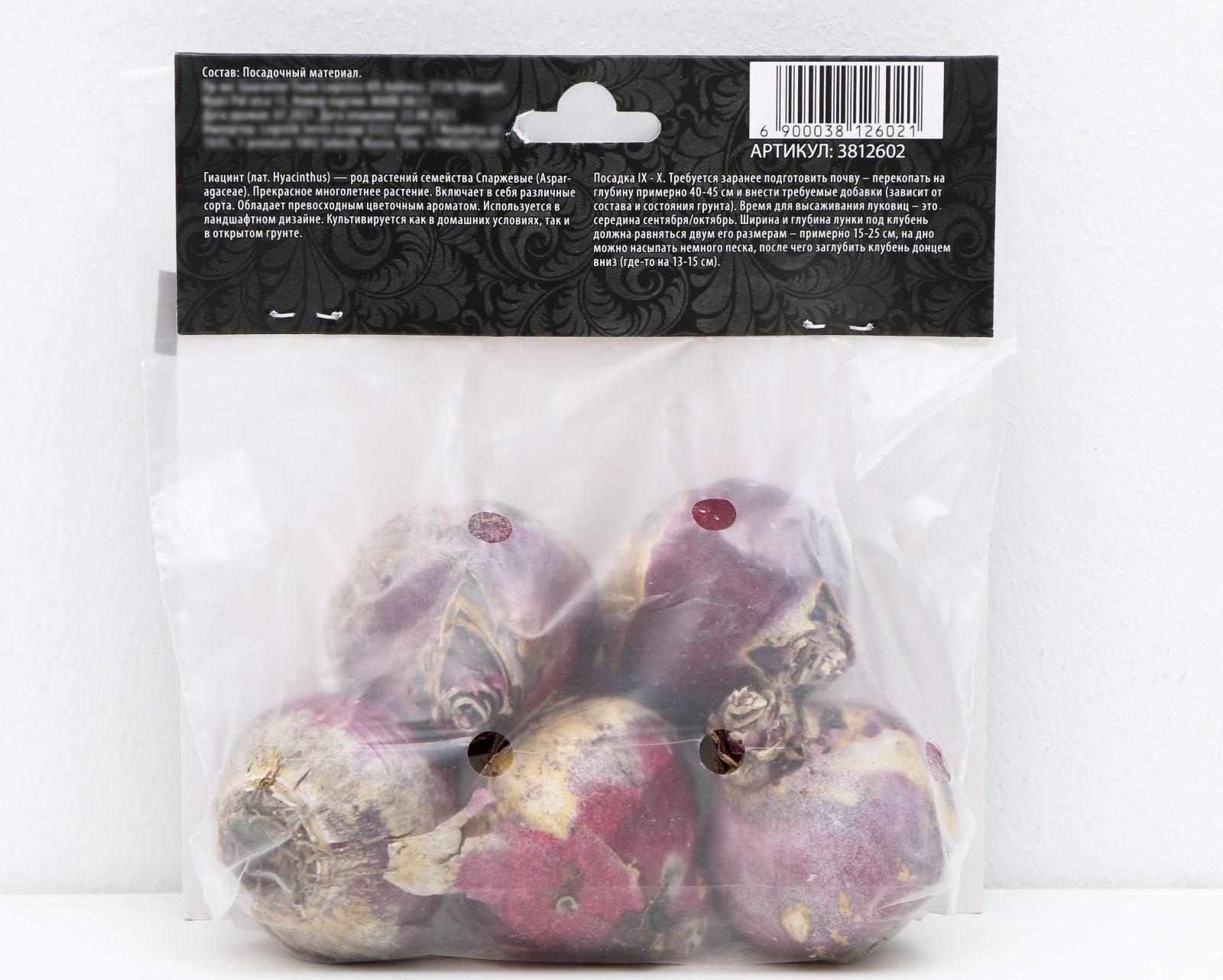 Гиацинт восточный Аида, р-р 14/15, 4 шт, Осень 2023