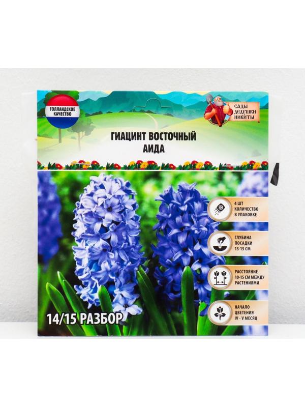Гиацинт восточный Аида, р-р 14/15, 4 шт, Осень 2023