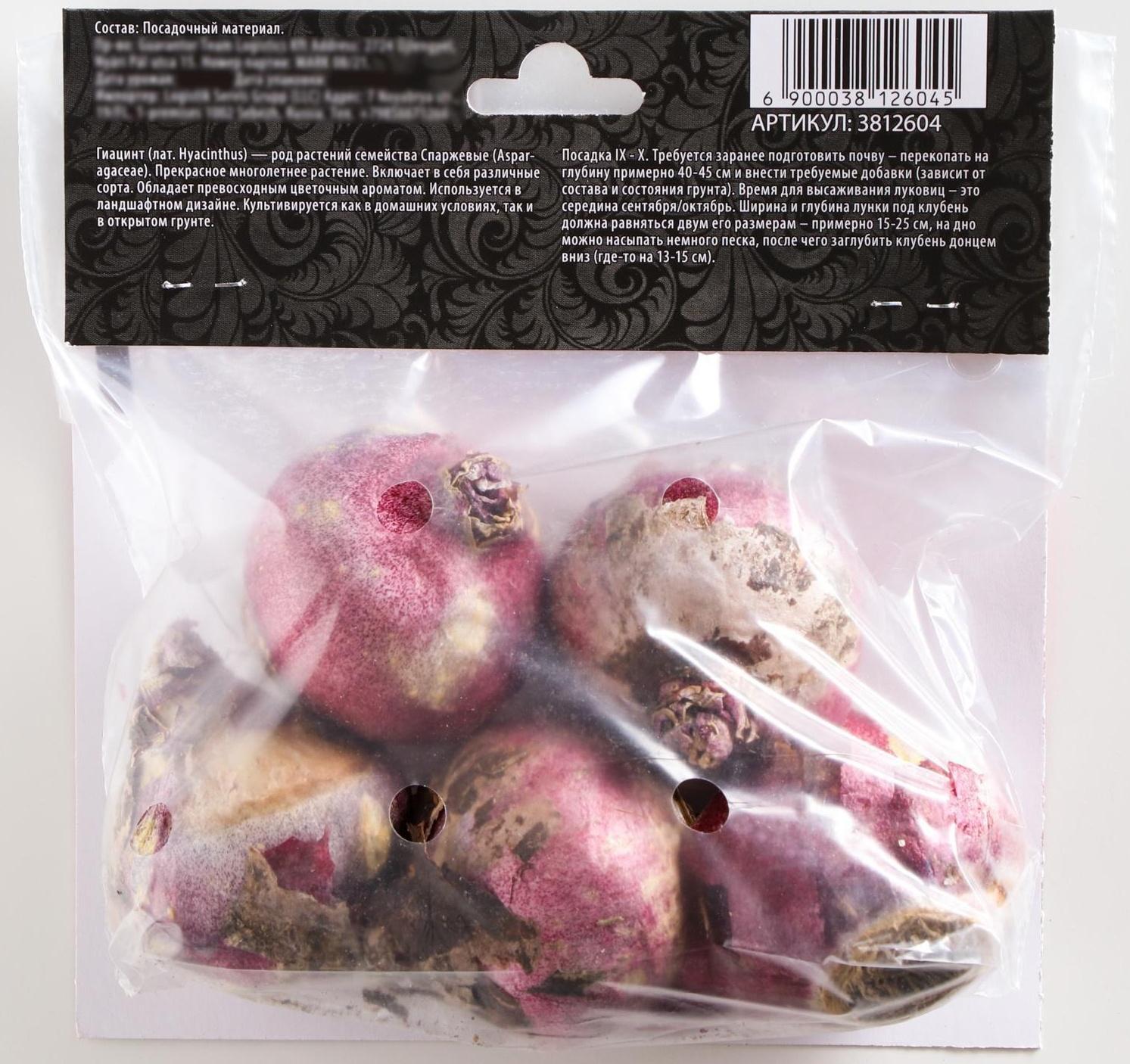 Гиацинт восточный Анна Лиза, р-р 14/15, 4 шт, Осень 2023