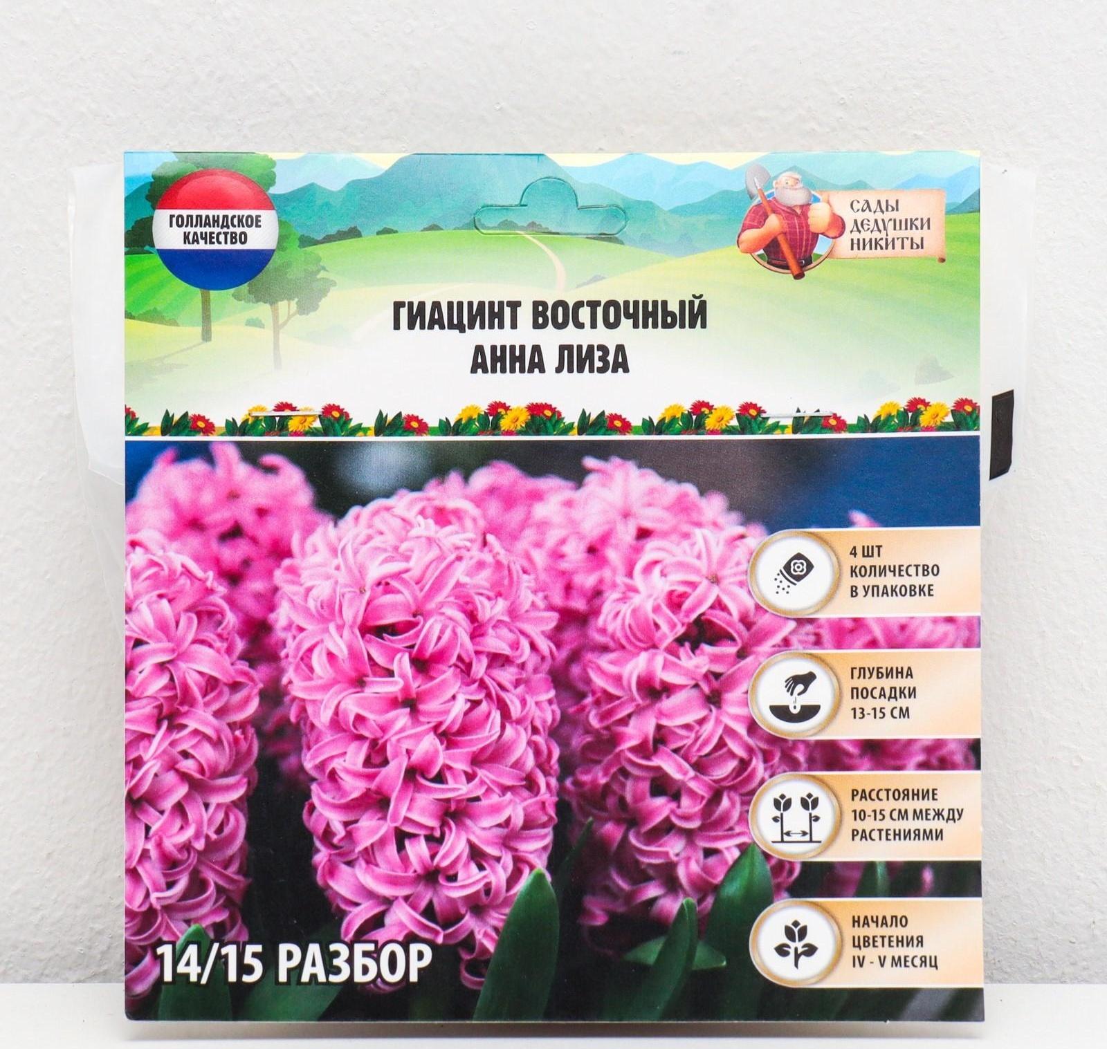 Гиацинт восточный Анна Лиза, р-р 14/15, 4 шт, Осень 2023