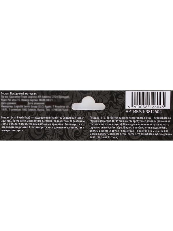 Гиацинт восточный Анна Лиза, р-р 14/15, 4 шт, Осень 2023