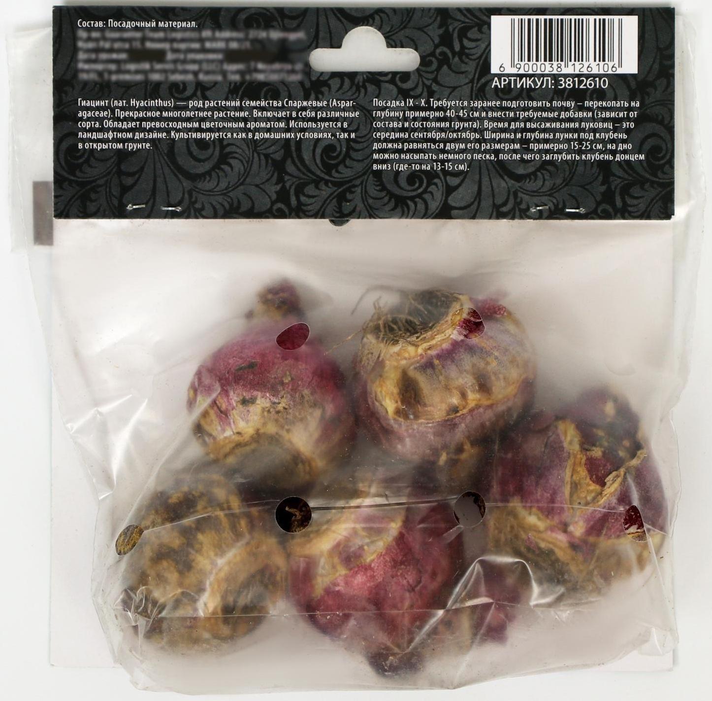 Гиацинт восточный Блю Стар, р-р 14/15, 4 шт, Осень 2023