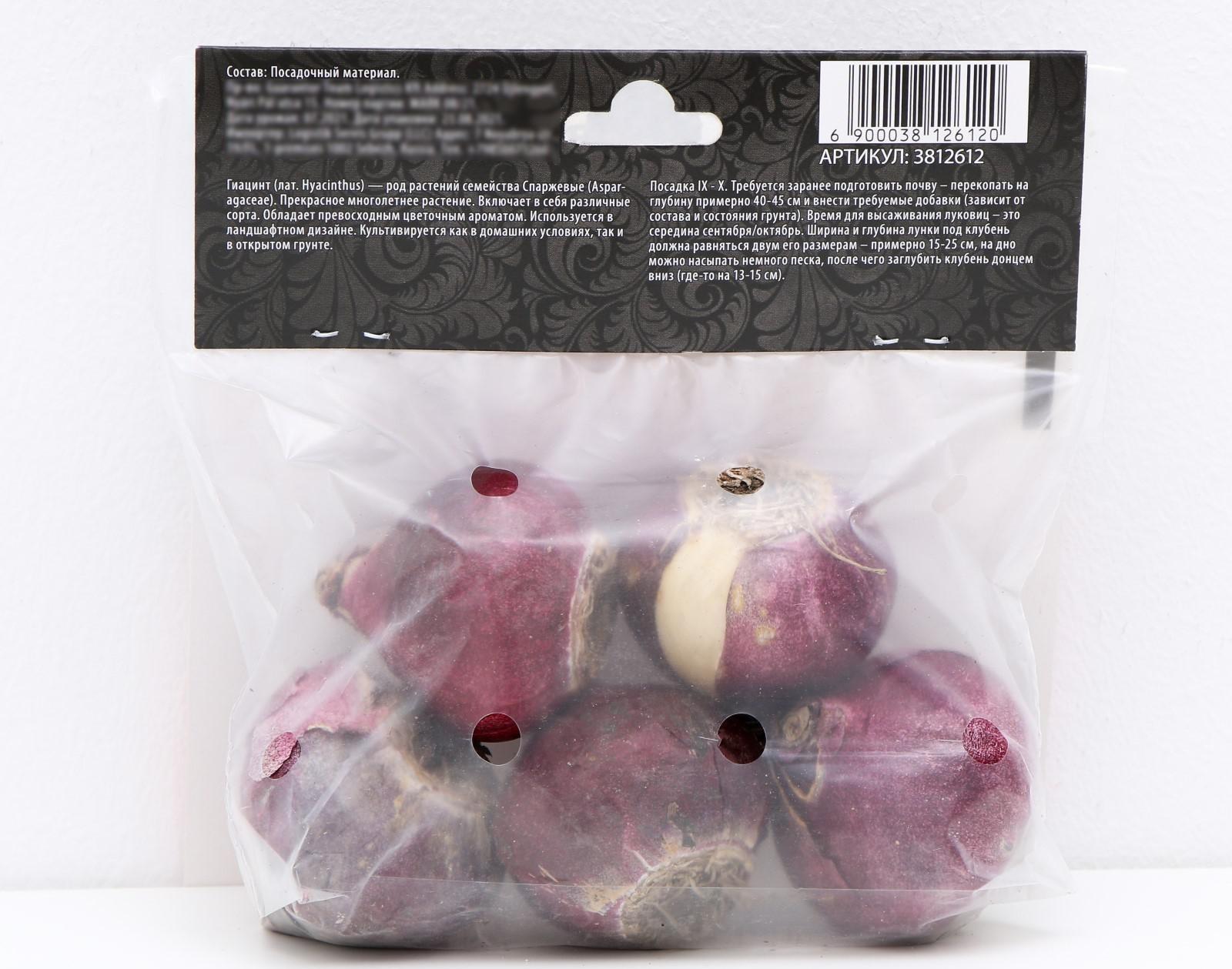 Гиацинт восточный Чайна Пинк, р-р 14/15, 4 шт, Осень 2023