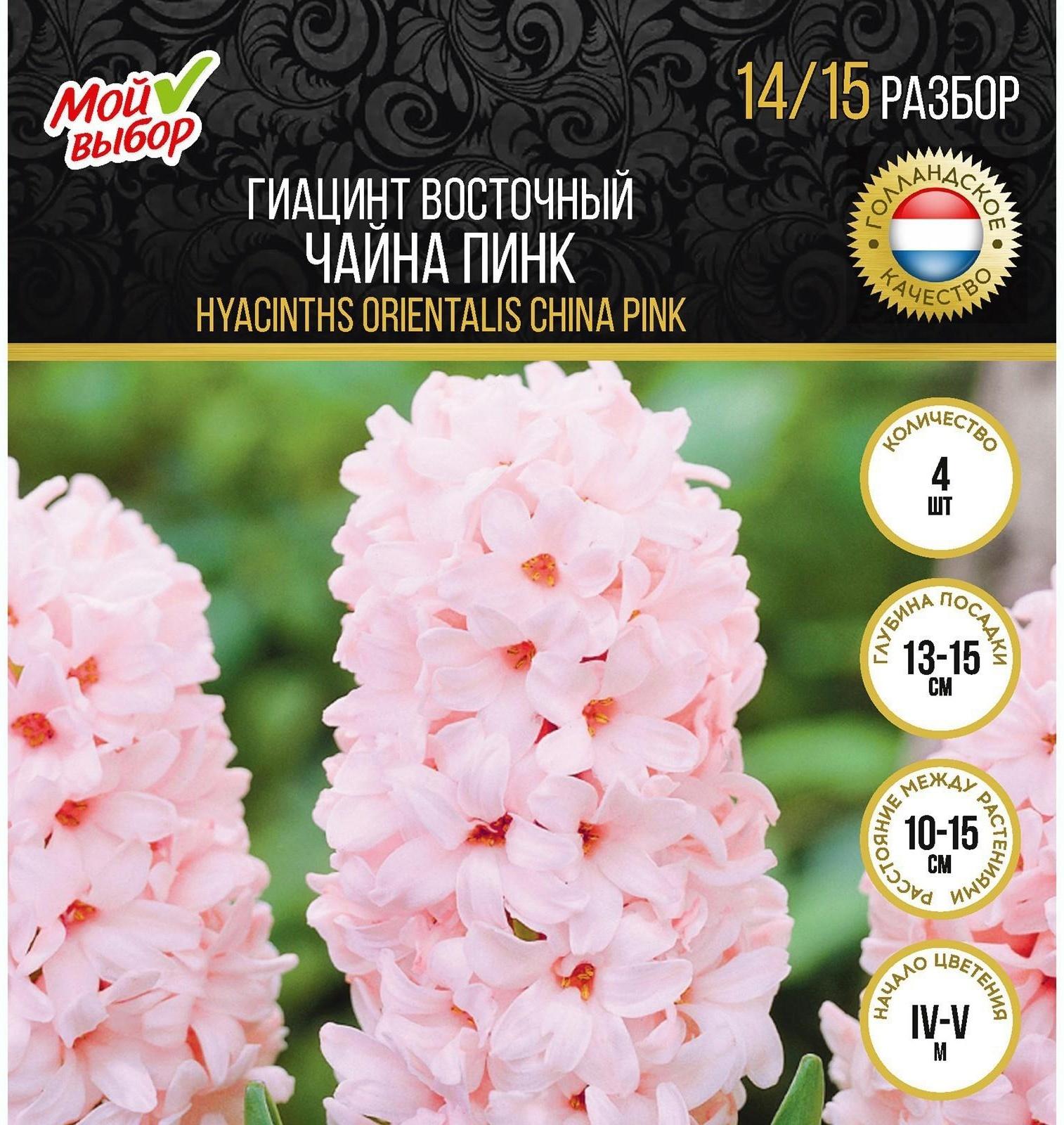 Гиацинт восточный Чайна Пинк, р-р 14/15, 4 шт, Осень 2023