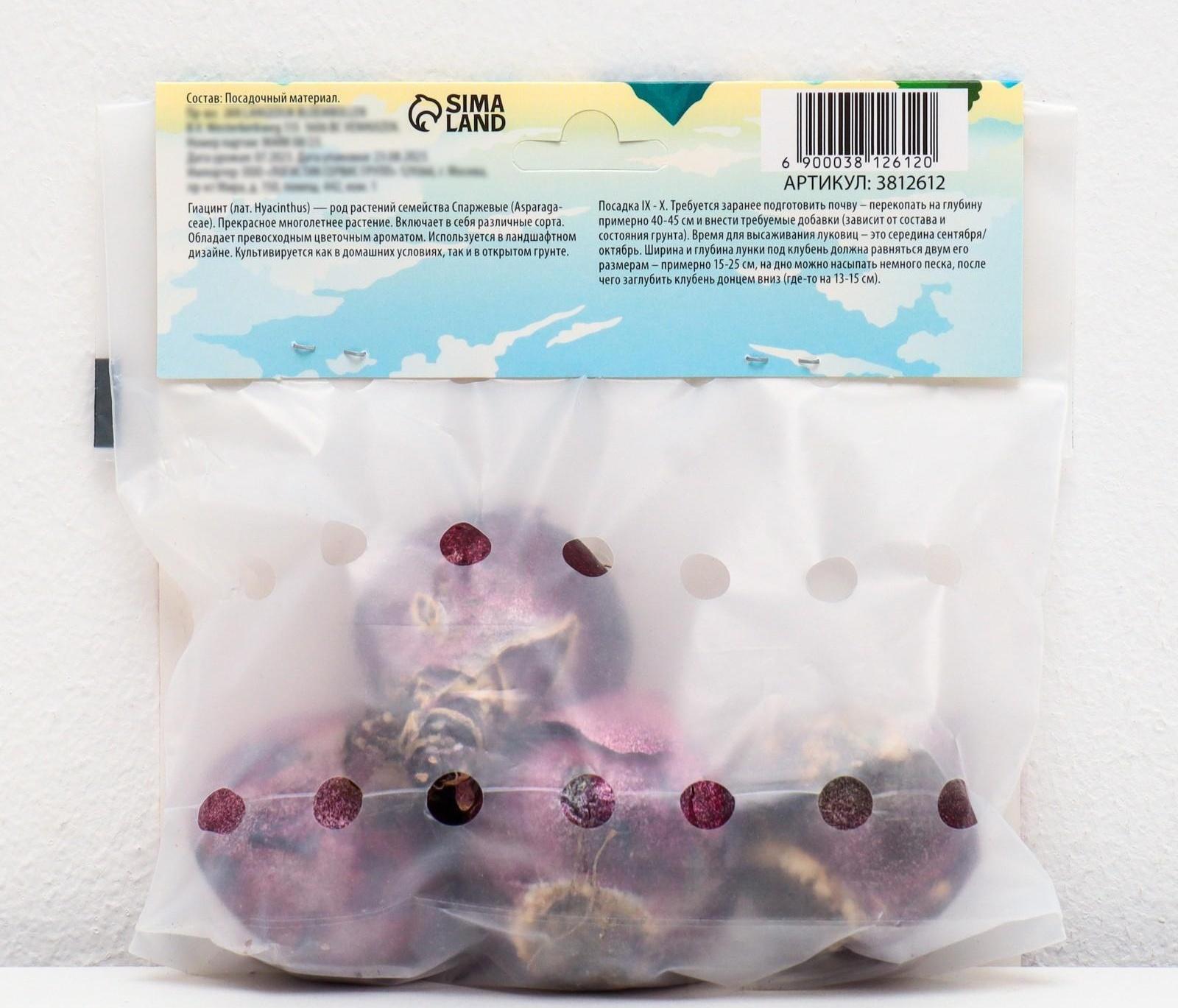 Гиацинт восточный Чайна Пинк, р-р 14/15, 4 шт, Осень 2023