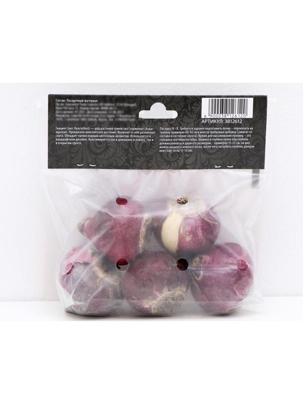 Гиацинт восточный Чайна Пинк, р-р 14/15, 4 шт, Осень 2023