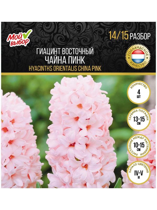 Гиацинт восточный Чайна Пинк, р-р 14/15, 4 шт, Осень 2023