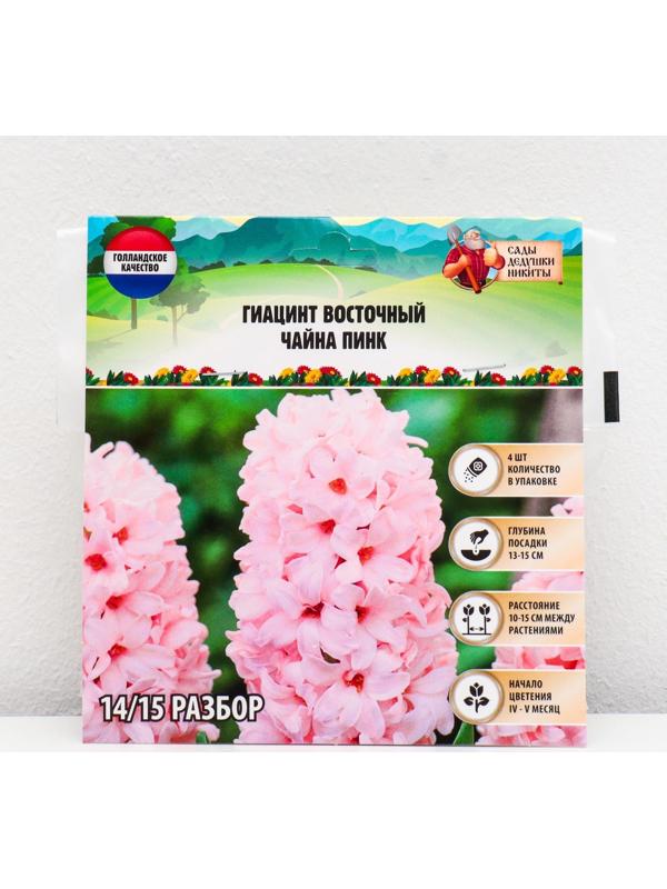 Гиацинт восточный Чайна Пинк, р-р 14/15, 4 шт, Осень 2023