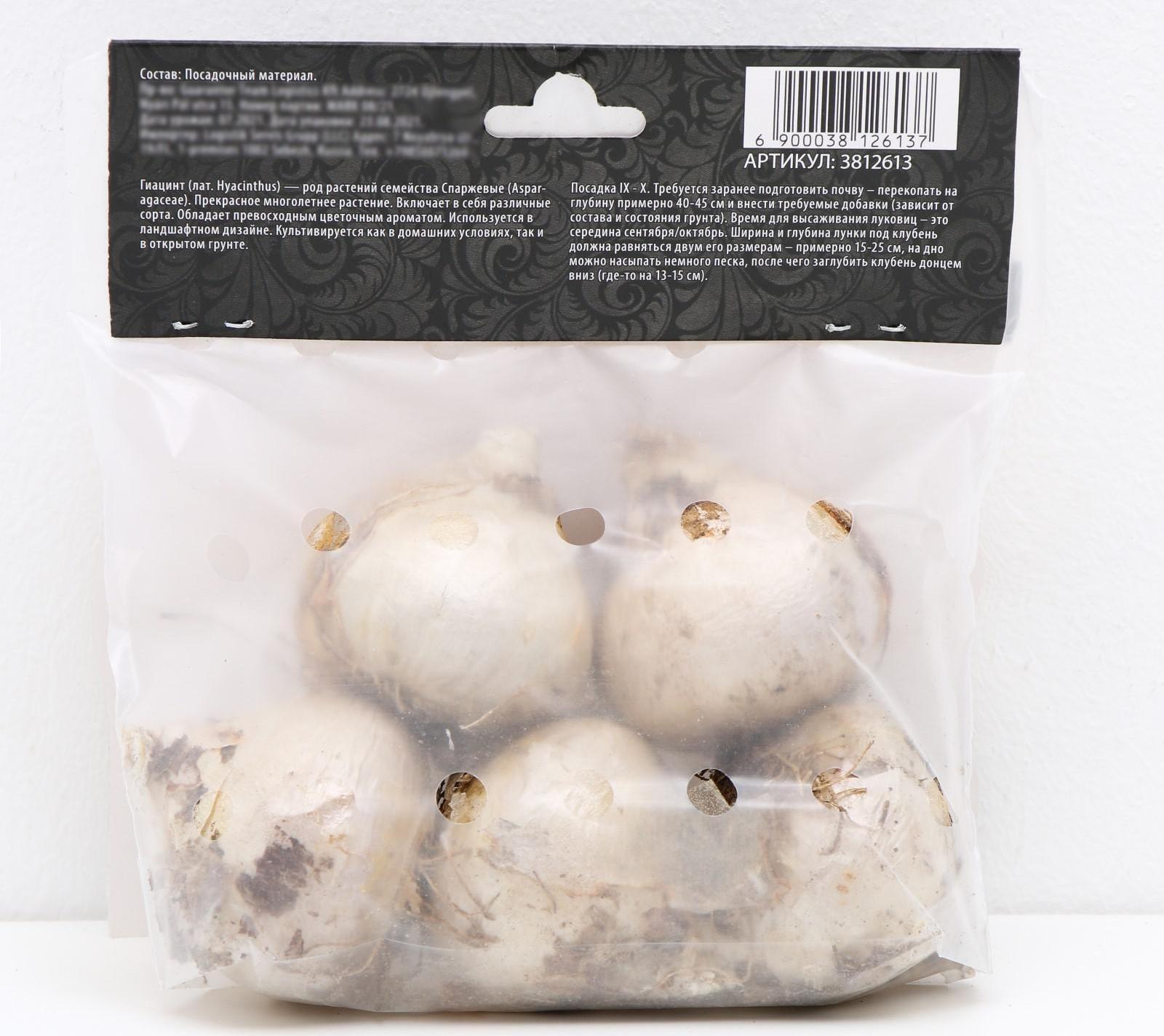 Гиацинт восточный Сити оф Харлем, р-р 14/15, 4 шт, Осень 2023