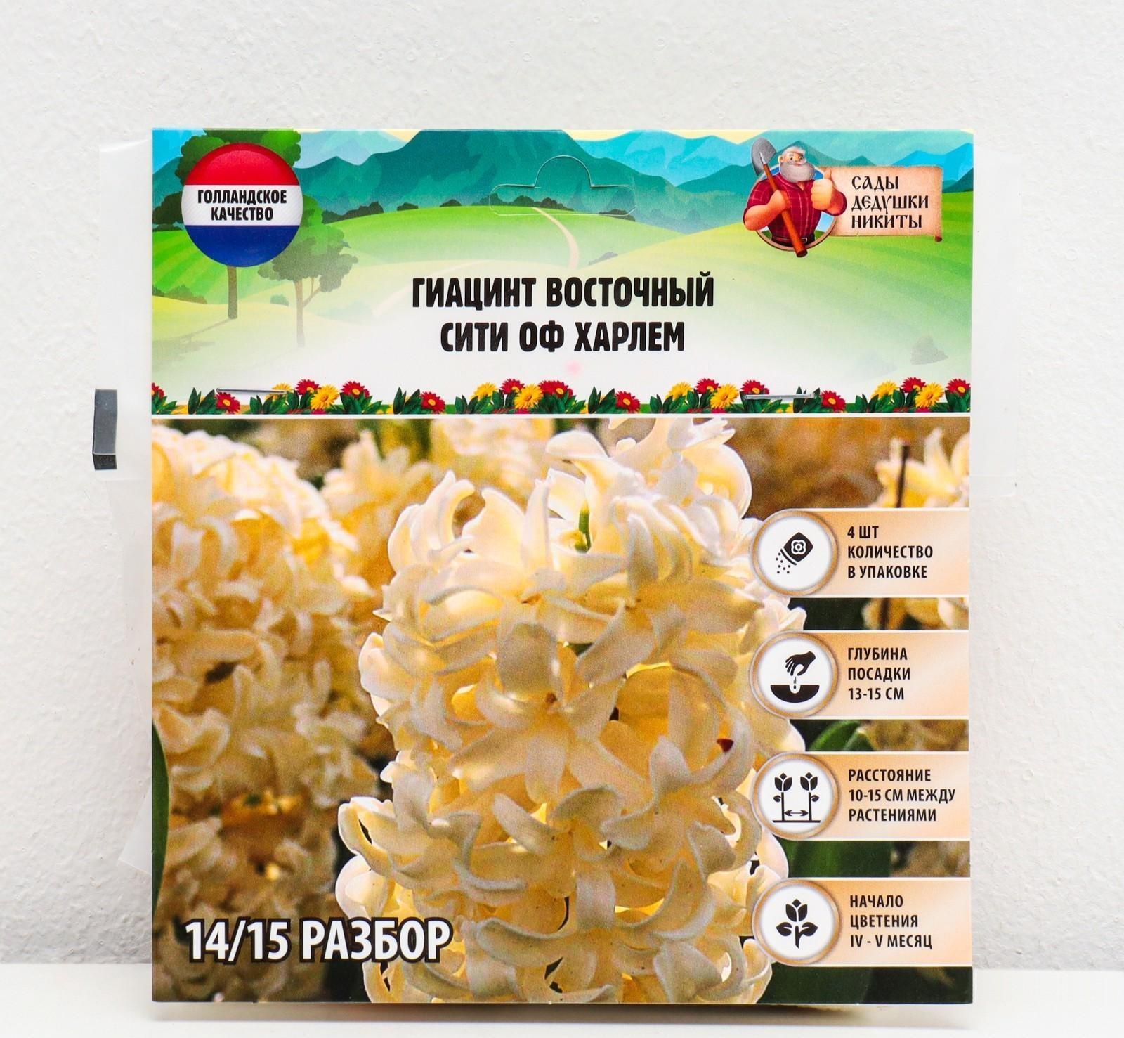 Гиацинт восточный Сити оф Харлем, р-р 14/15, 4 шт, Осень 2023