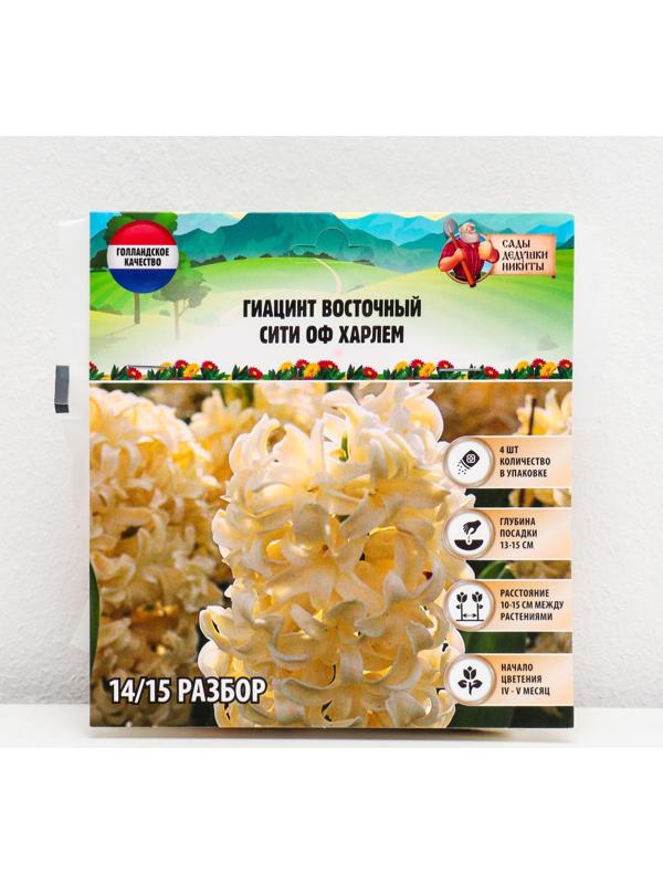 Гиацинт восточный Сити оф Харлем, р-р 14/15, 4 шт, Осень 2023