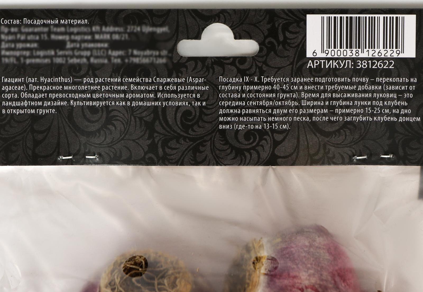 Гиацинт восточный Вудсток, р-р 14/15, 4 шт, Осень 2023