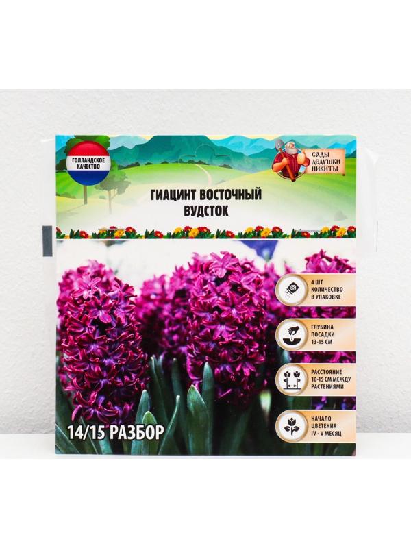 Гиацинт восточный Вудсток, р-р 14/15, 4 шт, Осень 2023