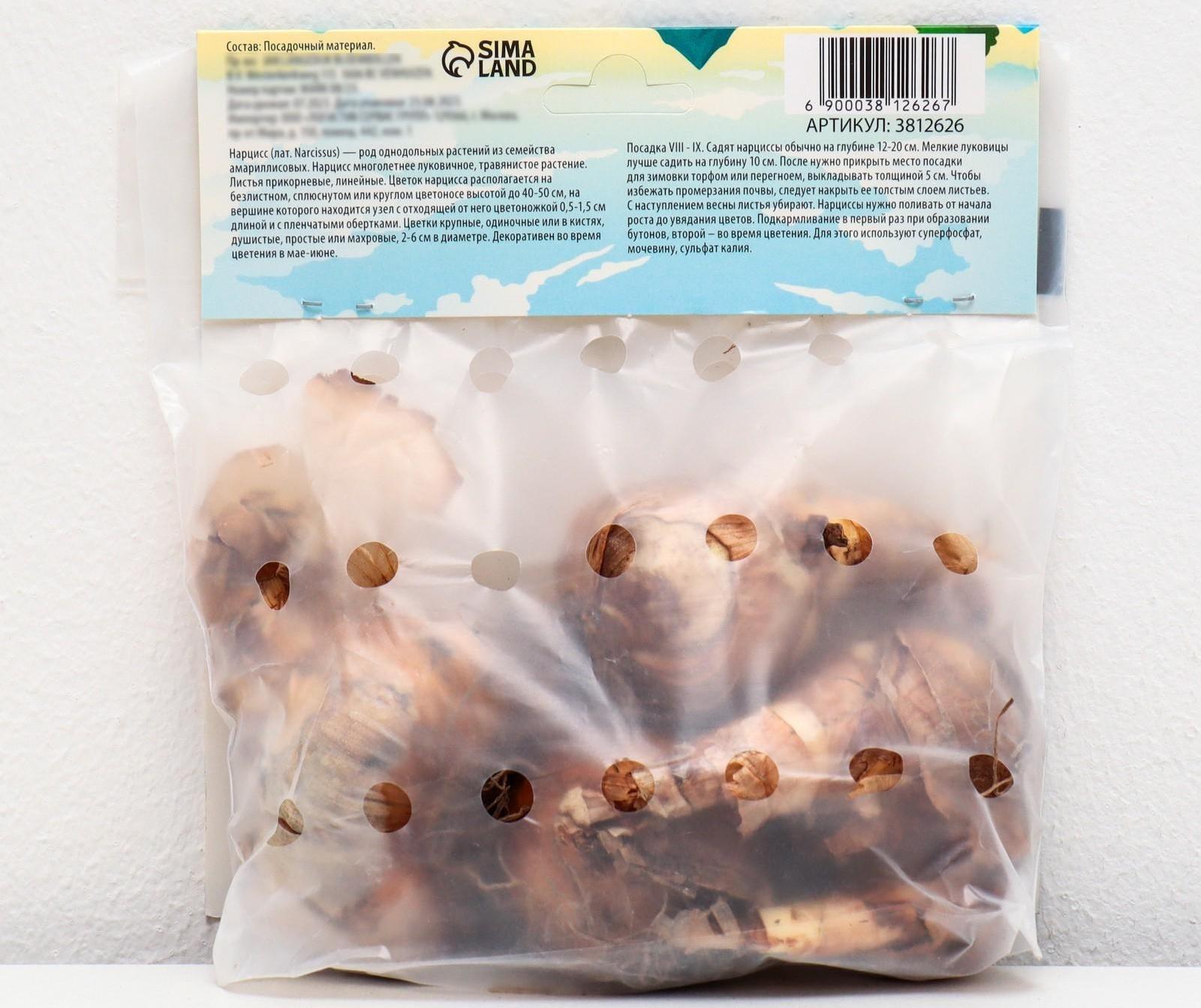 Нарцисс крупнокорончатый Хромаколор, р-р 12/14, 4 шт, Осень 2023