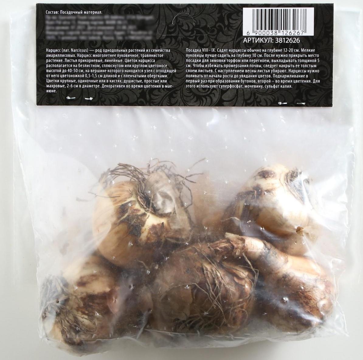 Нарцисс крупнокорончатый Хромаколор, р-р 12/14, 4 шт, Осень 2023