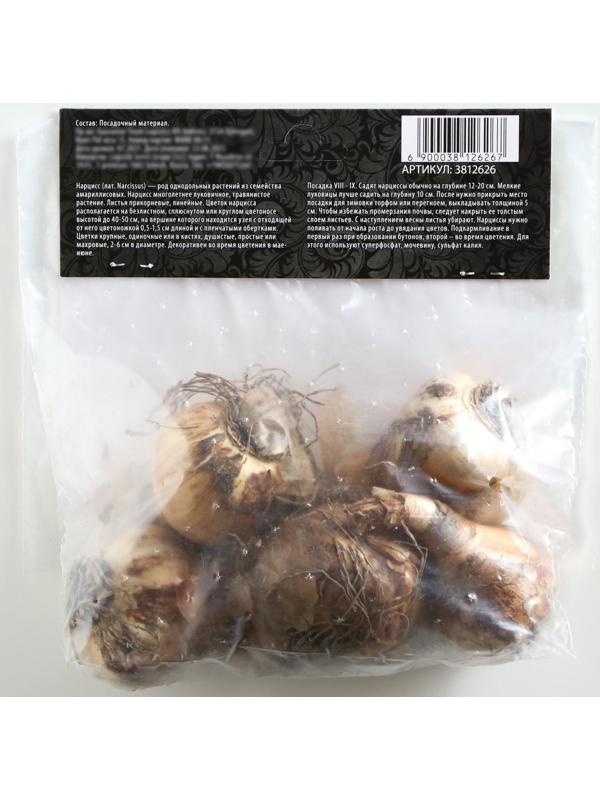 Нарцисс крупнокорончатый Хромаколор, р-р 12/14, 4 шт, Осень 2023