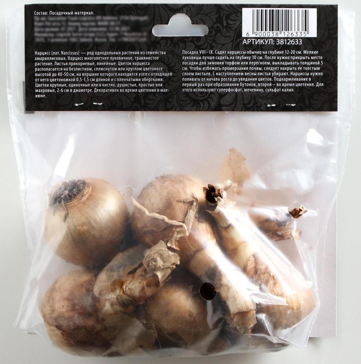 Нарцисс махровый Реплит, р-р 12/14, 4 шт, Осень 2023