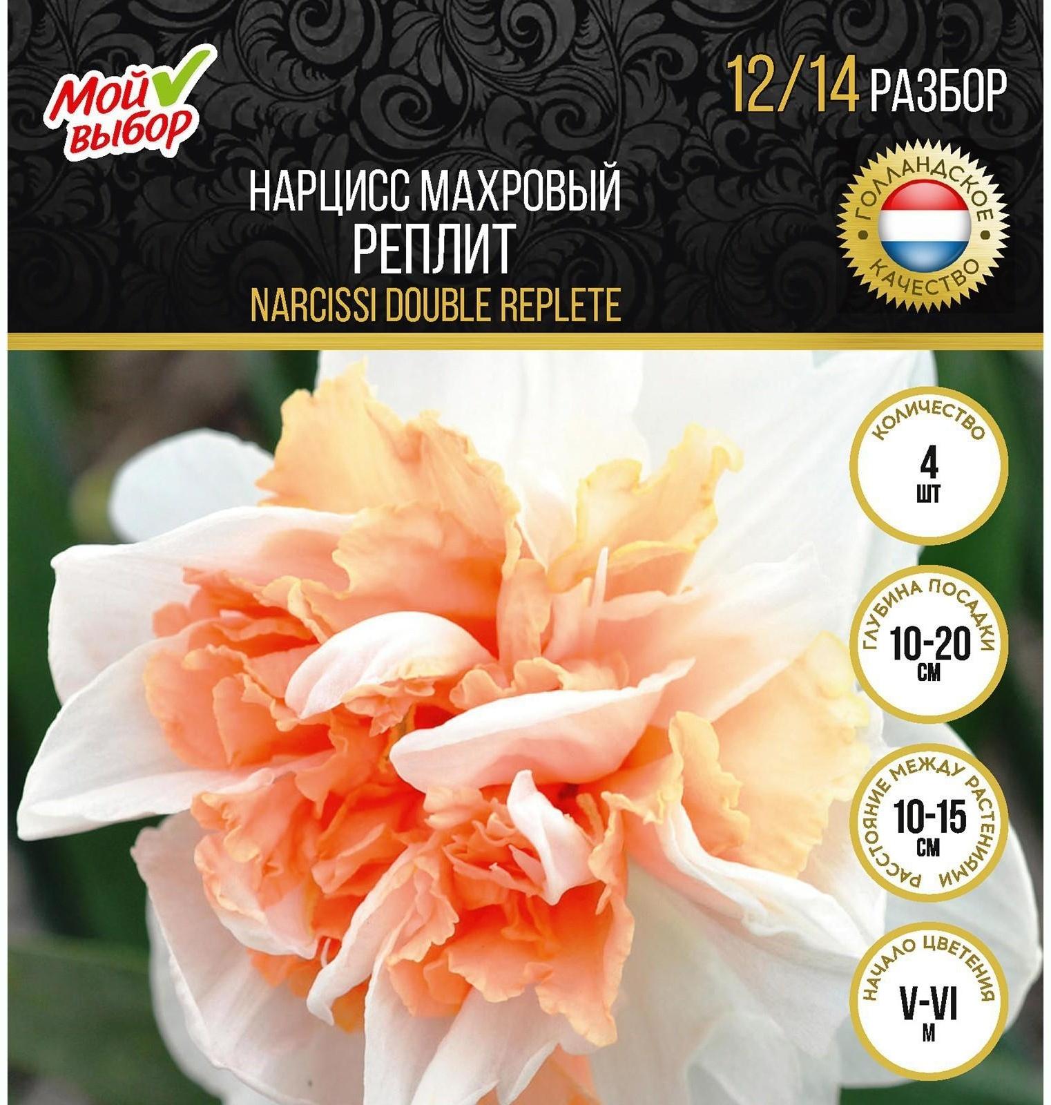 Нарцисс махровый Реплит, р-р 12/14, 4 шт, Осень 2023