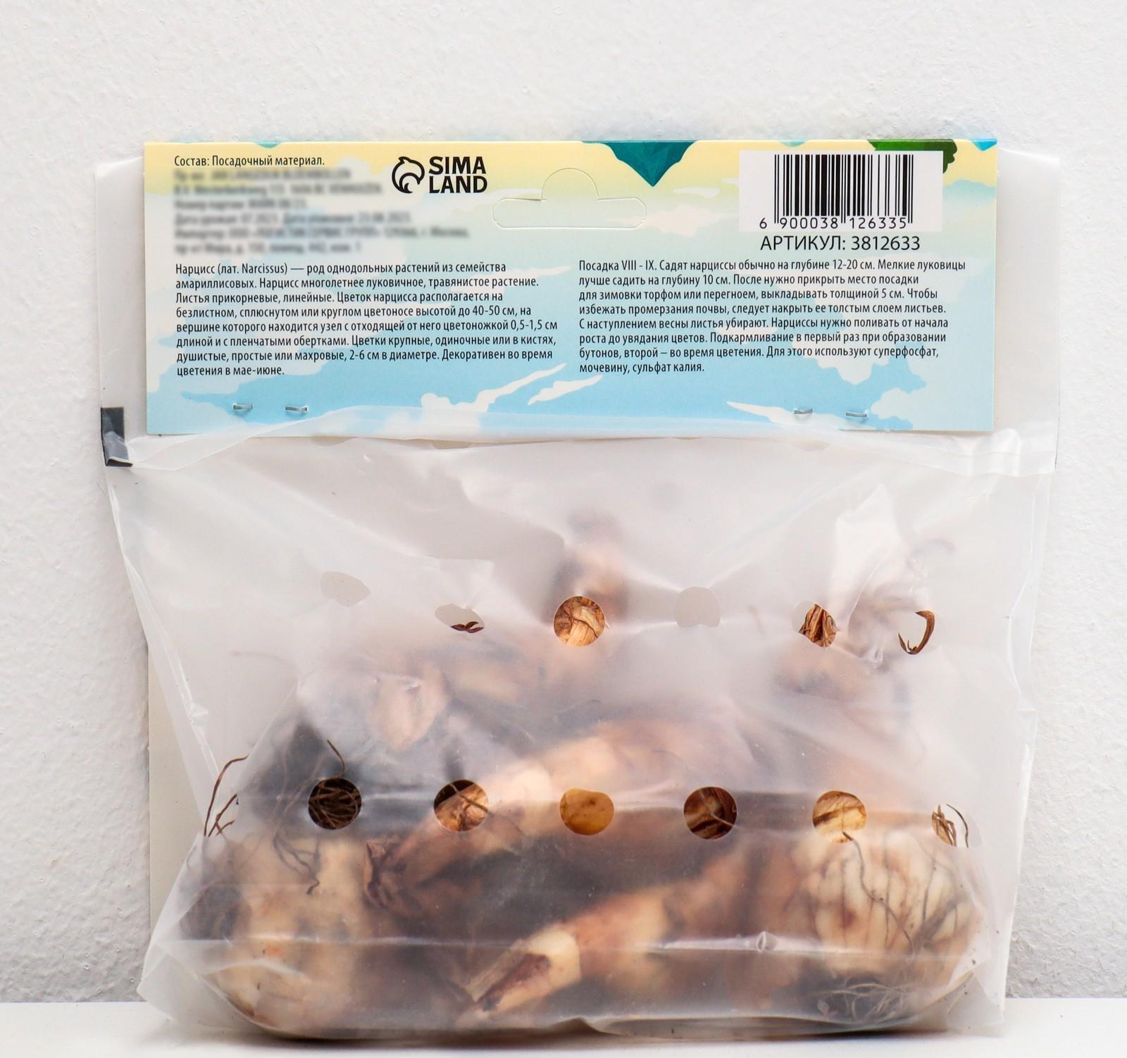 Нарцисс махровый Реплит, р-р 12/14, 4 шт, Осень 2023