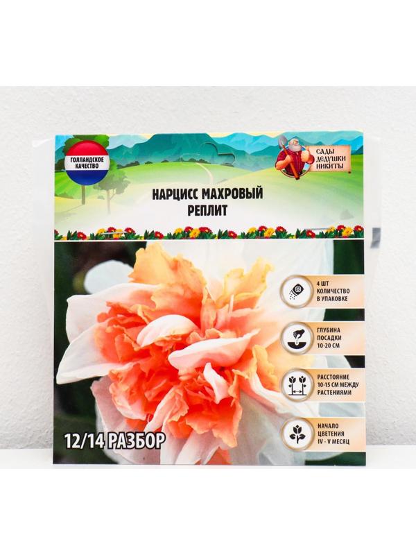 Нарцисс махровый Реплит, р-р 12/14, 4 шт, Осень 2023