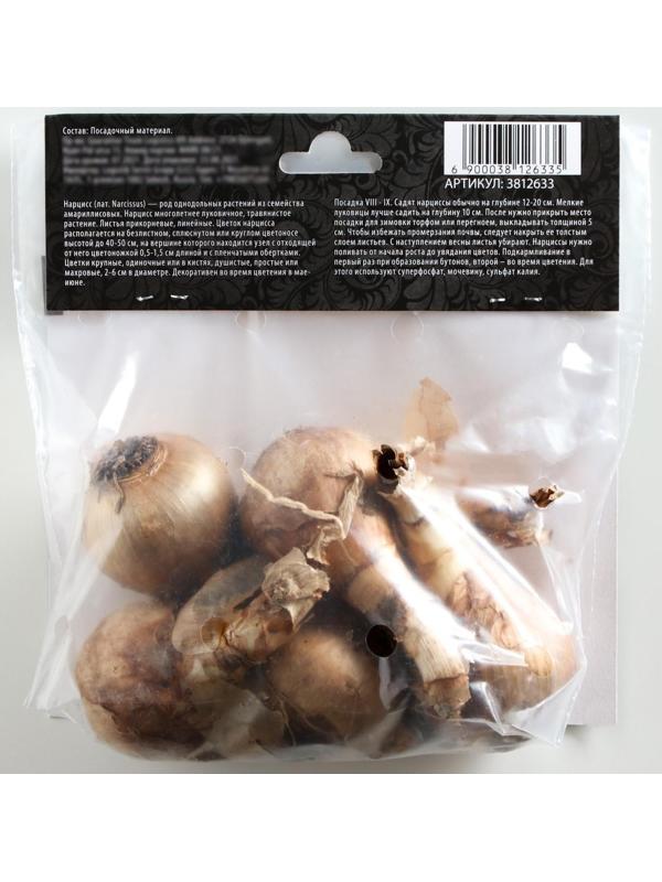 Нарцисс махровый Реплит, р-р 12/14, 4 шт, Осень 2023