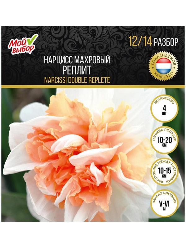Нарцисс махровый Реплит, р-р 12/14, 4 шт, Осень 2023