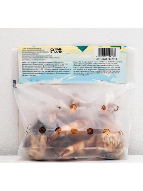 Нарцисс махровый Реплит, р-р 12/14, 4 шт, Осень 2023